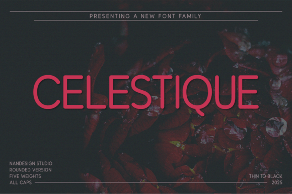 Celestique Rounded Typeface for Bold Branding
