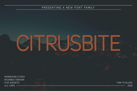 Citrusbite Rounded Typeface for Modern Web Design