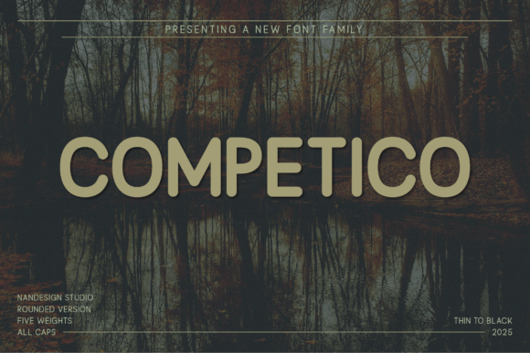 Competico Rounded: A Modern Sans Serif Typeface for Makers