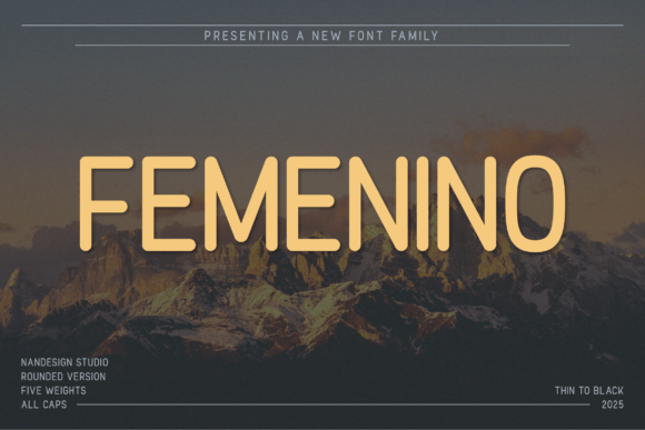 Femenino Rounded: A Warm Sans Serif Typeface