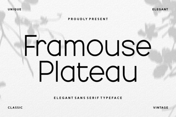 Framouse Plateau: A Modern Sans Serif Font for Makers