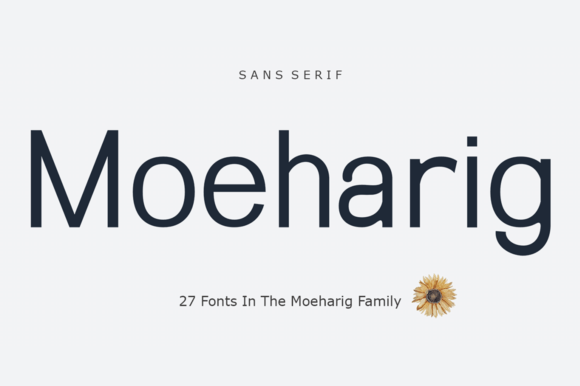 Moeharig: A Versatile Sans Serif Typeface for Modern Editorial Design